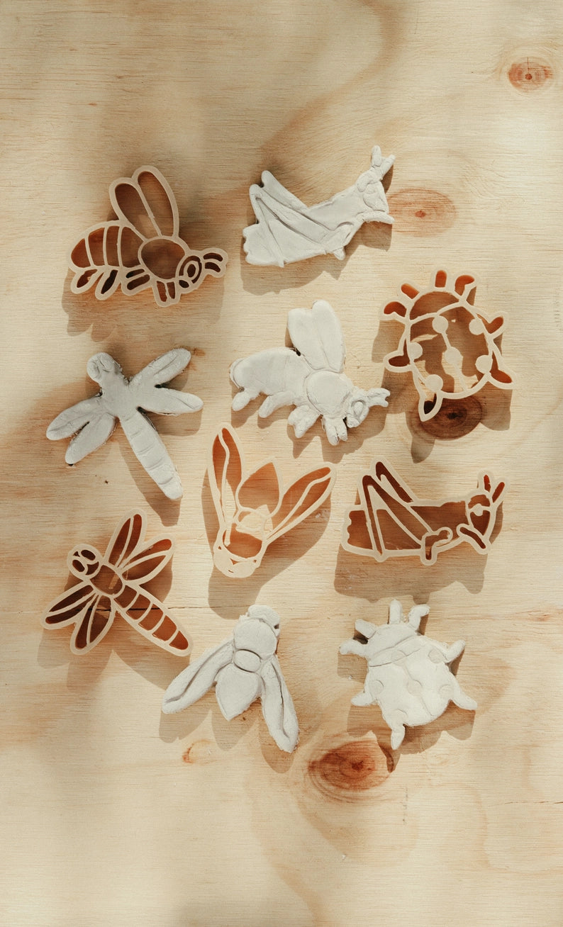 Insect Eco Cutter Set