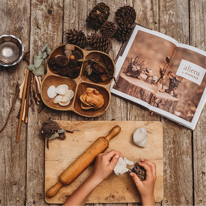 Wild Imagination | Nature Craft Projects Book