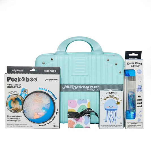 Big Feelings Play Kit - Under the Sea with Suitcase