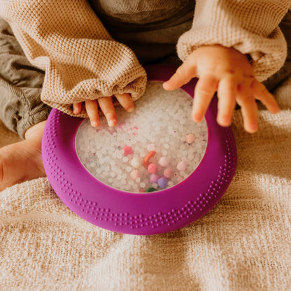 Peekaboo Sensory Bag - Dino