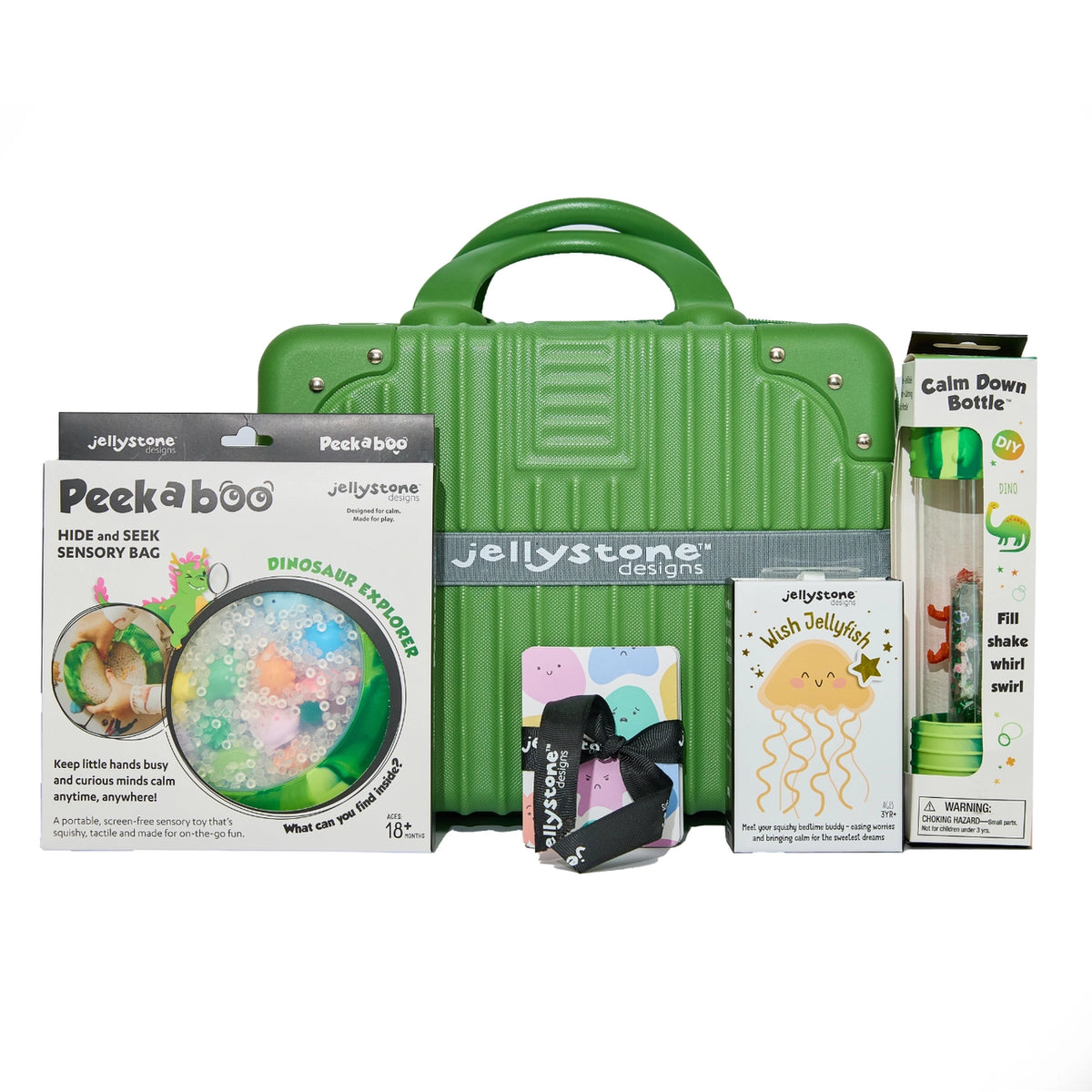 Big Feelings Play Kit - Dino with Suitcase