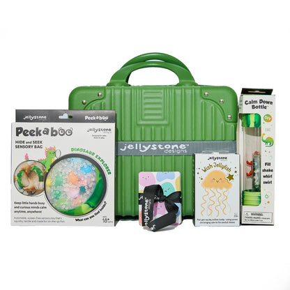 Big Feelings Play Kit - Dino with Suitcase